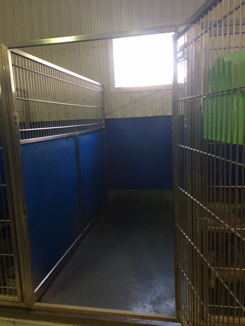 Our large kennels are spacious enough for two or more pets from the same family to share