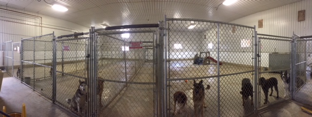 Indoor play area for large dogs (over 2600 sq feet)