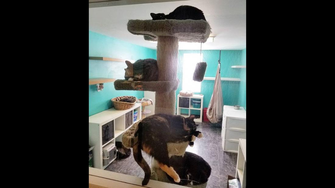 Second Home Pet Resort Edmonton and area pet boarding kennels