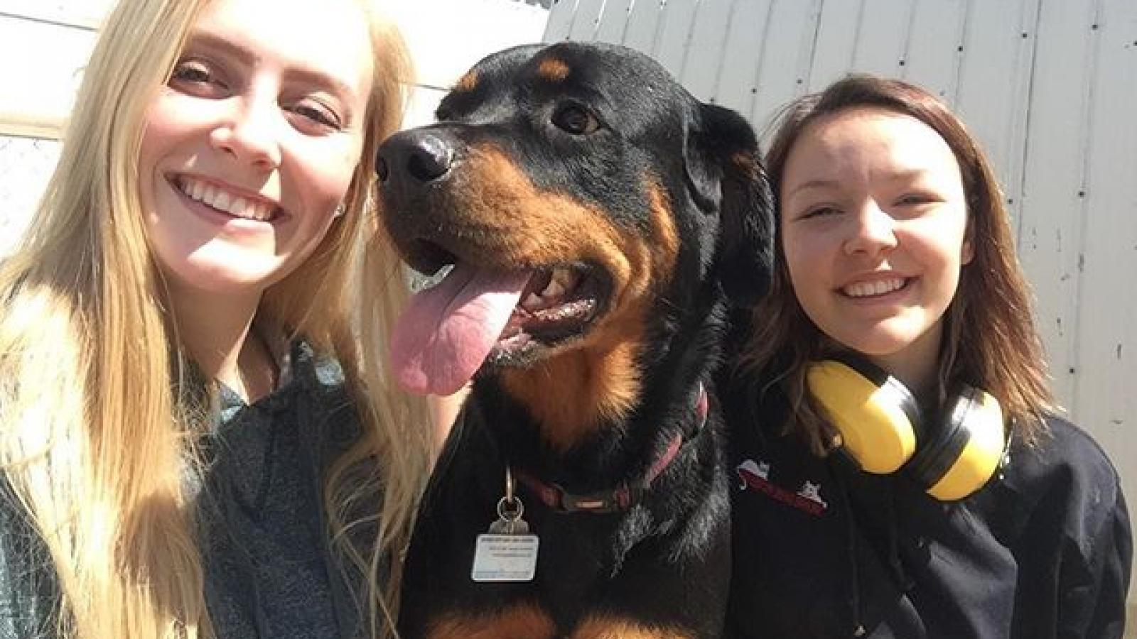 Our loving and caring team genuinely cares about your furry family member! Nadia and Kaylee and enjoying some Molly snuggles this sunny afternoon.