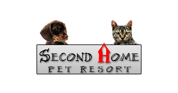 Second home store pet resort